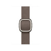 Apple 42mm Dark Taupe Modern Buckle - Medium