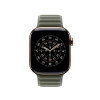 Apple 42mm Sage Gray Magnetic Link - M/L