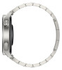 Huawei Watch GT 3 Pro 46 mm Titan + titanium strap
