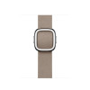 Apple 41mm Modern Buckle Tan Large