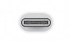 Apple USB-C to Lightning Adapter