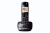 Panasonic KX-TG2511FXT (černý)