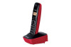 Panasonic KX-TG1611FXR