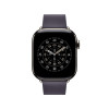 Apple 42mm Midnight Purple Modern Buckle - Small