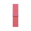 Apple 42mm Bright Guava Sport Loop