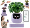 Inteligentní květináč PLANTSIO IVY gen 2 fialový