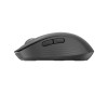 Logitech Signature M650 L Wireless Mouse, Graphite