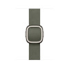 Apple 42mm Sage Gray Modern Buckle - Small