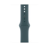 Apple 46mm Lake Green Sport Band - S/M