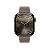 Apple 42mm Dark Taupe Modern Buckle - Medium
