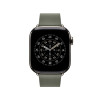 Apple 42mm Sage Gray Modern Buckle - Small