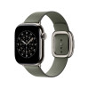 Apple 42mm Sage Gray Modern Buckle - Small