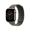 Apple 46mm Sage Gray Magnetic Link - M/L