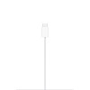 Apple MagSafe Charger (2m)