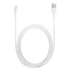 Apple Lightning to USB Cable 0,5m