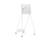 Samsung stand - 55" Flip II