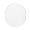Mi Smart LED Ceiling Light D40