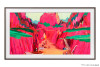 Výměnný rám pro The Frame 65" Pro