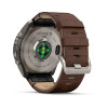 Garmin fenix 9 Pro IR 51mm Tit/Walnut LB