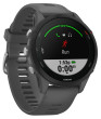 Garmin Forerunner 255, Slate Gray