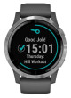 Garmin vívoactive4 Silver/Gray Band