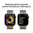 Apple Watch S10 Cell 46mm N.Titan, N.Milanese, M/L