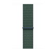 Apple 46mm Sport Loop Lake Green