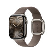 Apple 42mm Dark Taupe Modern Buckle - Medium