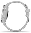 Garmin Venu2S Silver/Gray Band