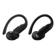 Beats Powerbeats Pro 2 Earbuds Jet Black