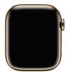 Apple Watch S8 Cell 41mm Gold Steel, Starlight S.