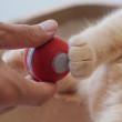 BOT CHEERBLE Mini Ball Interaktivní míč pro kočky