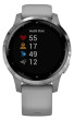 Garmin vívoactive4S Silver/Gray Band