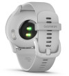 Garmin vívomove Trend Silver / Mist Grey SB