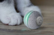 BOT CHEERBLE Mini Ball Interaktivní míč pro kočky