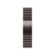 Apple 42mm Link Bracelet Slate