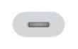 Apple USB-C to Lightning Adapter
