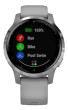 Garmin vívoactive4S Silver/Gray Band