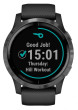 Garmin vívoactive4 Gray/Black Band