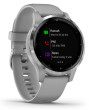 Garmin vívoactive4S Silver/Gray Band