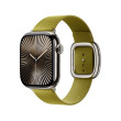 Apple 42mm Chartreuse Modern Buckle - Medium