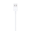 Apple Lightning to USB Cable (1m)