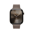 Apple 42mm Dark Taupe Modern Buckle - Large