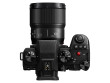 Panasonic Lumix S 100mm f/2.8 Macro Portrait