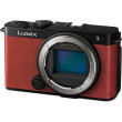 Panasonic LUMIX S9 red + Lumix 18-40mm f/4.5-6.3