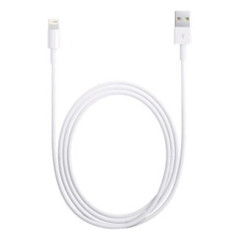 Apple Lightning to USB Cable 0,5m