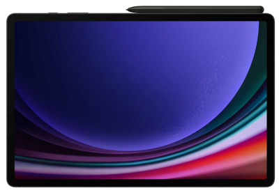 Samsung Tab S9 Ultra 512GB (14,6"WiFi) Gray