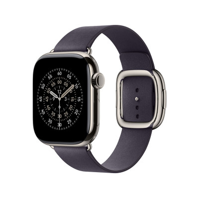 Apple 42mm Midnight Purple Modern Buckle - Large