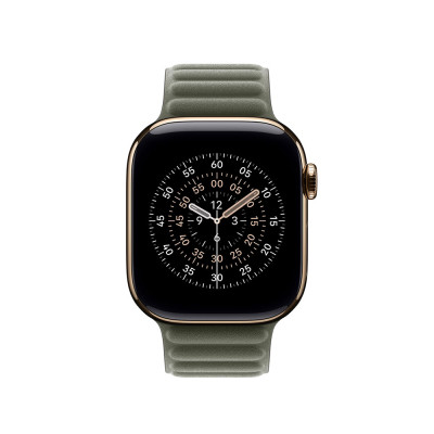 Apple 42mm Sage Gray Magnetic Link - M/L