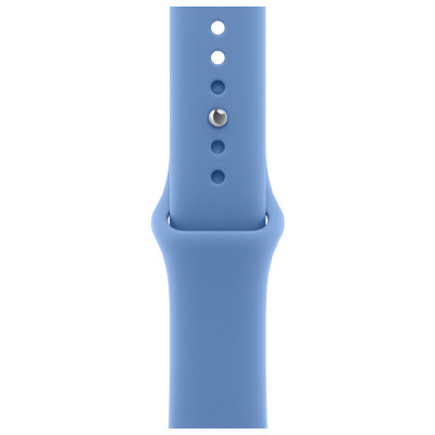 Apple 40mm Wildflower Blue Sport Band - M/L